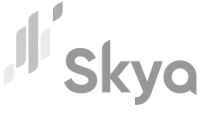 skya-gray